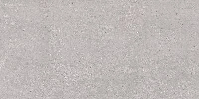 San Vicente Natural Matt (60x120)