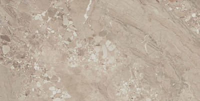 Керамогранит OM02полиров. (60x120)