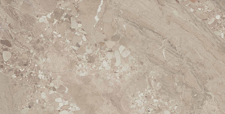 Керамогранит OM02полиров. (60x120)