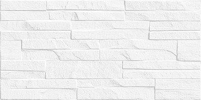 Плитка настенная Discover (24.9x50) TWU2550DCV10