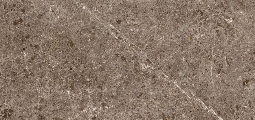 Керамогранит Coverlam Artic Moka Pulido (120х260), 5.6mm 78RC27P (60-65)