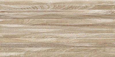 Плитка настенная Euphoria (24.9x50) TWU2550EPH44