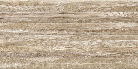 Плитка настенная Euphoria (24.9x50) TWU2550EPH44