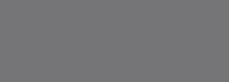Керамическая плитка Foresta Silver (24,2x70) 00-00108472
