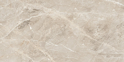 Керамогранит Tulip White (60х120)