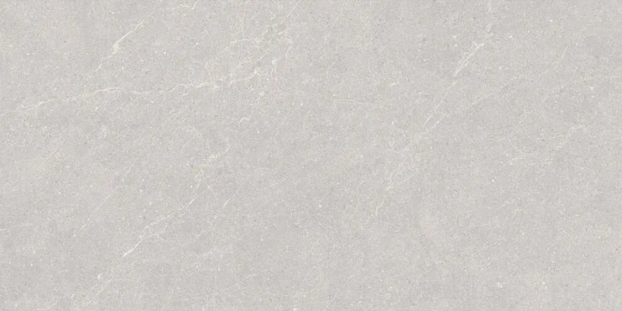 Керамогранит Elenta Ash Carving 60x120