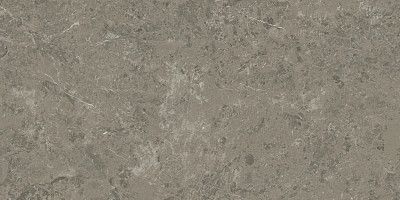 Керамогранит Marvel Meraviglia Grigio Elegante Lapp. AJHW (60x120)