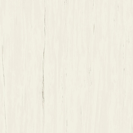 Керамогранит Marvel Bianco Dolomite (120x120) A204