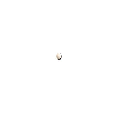 Вставка Iris Ceramica Керамическая плитка Bellagio SP. Bombato Beige (2.5x3) 750835