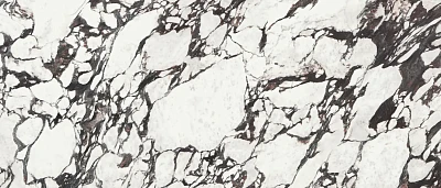 Керамогранит Medicea Marble Pol Rect (120x278) A040175