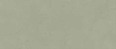 Boost Expression Olive  50x120 AYR7