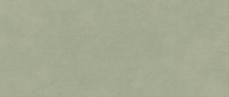 Boost Expression Olive  50x120 AYR7