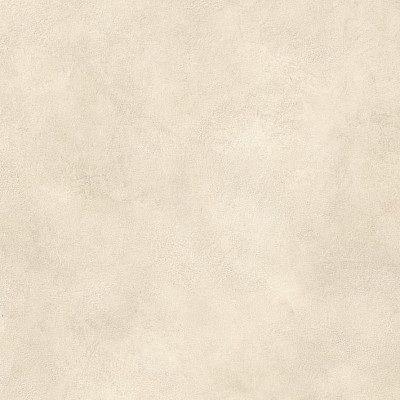 Boost Expression Shell 80x80 AYVH
