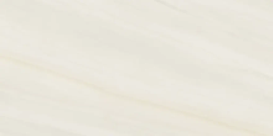 Anima Wonder Snow (60x120) Liscio Matt AIAO