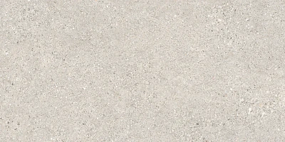 Manhattan Silver As (60x120x0,9)