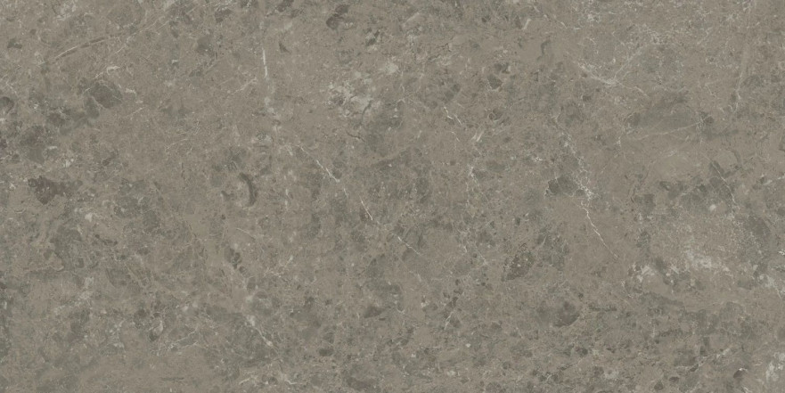 Керамогранит Marvel Meraviglia Grigio Elegante AJIU (60x120) AJIU
