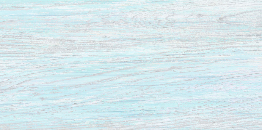 Плитка настенная North (24.9x50) TWU09NRT606 TWU09NRT606