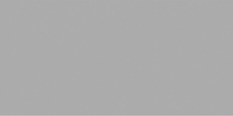 Керамогранит Exotic Light Grey (60х120) Matt