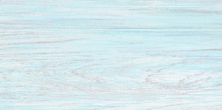 Плитка настенная North (24.9x50) TWU09NRT606 TWU09NRT606