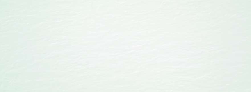 Керамическая плитка Aral White Matt (33.3x90) 110-008-1 110-008-1