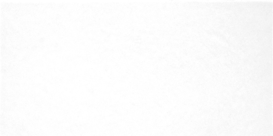 Плитка настенная Monocolor (24.9x50) TWU09MNR020 TWU09MNR020
