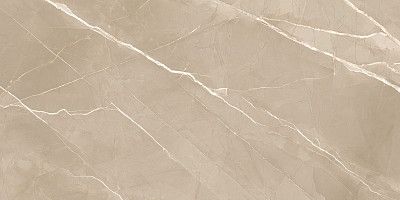 Керамогранит Essential Marron (60x120) 60120ESE21P