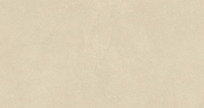 Boost Natural Pro Oat 60x120 Velvet AQ8Q