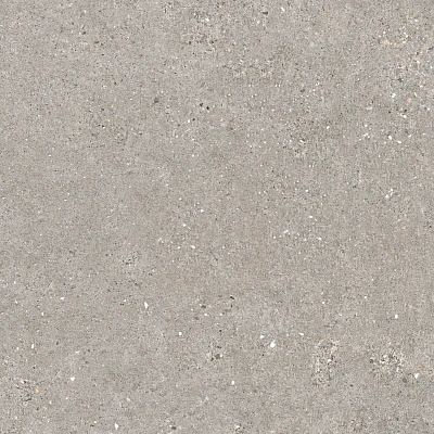 Manhattan Grey Sp (100x100)