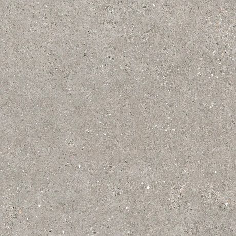 Manhattan Grey Sp (100x100)
