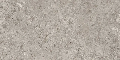 Керамогранит Bierzo Gris Seda  (60x120) 44BZP39