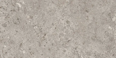 Керамогранит Bierzo Gris Seda  (60x120) 44BZP39