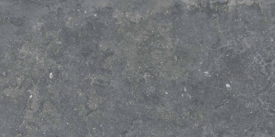 Керамогранит 0012929 Bruges Smoke Nat R (60x120) 0012929