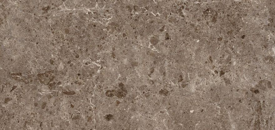 Керамогранит Coverlam Artic Moka Pulido (120х260), 5.6mm 78RC27P (60-65)