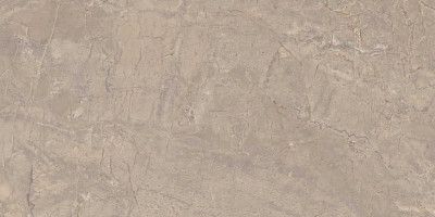 Керамогранит BR02 полиров. (60x120)