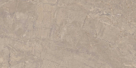 Керамогранит BR02 полиров. (60x120)
