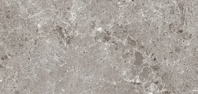 Керамогранит Artic Gris Pul.(120x260) 5.6мм 78RC37P