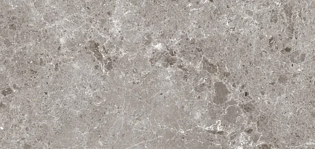 Керамогранит Artic Gris Pul.(120x260) 5.6мм 78RC37P