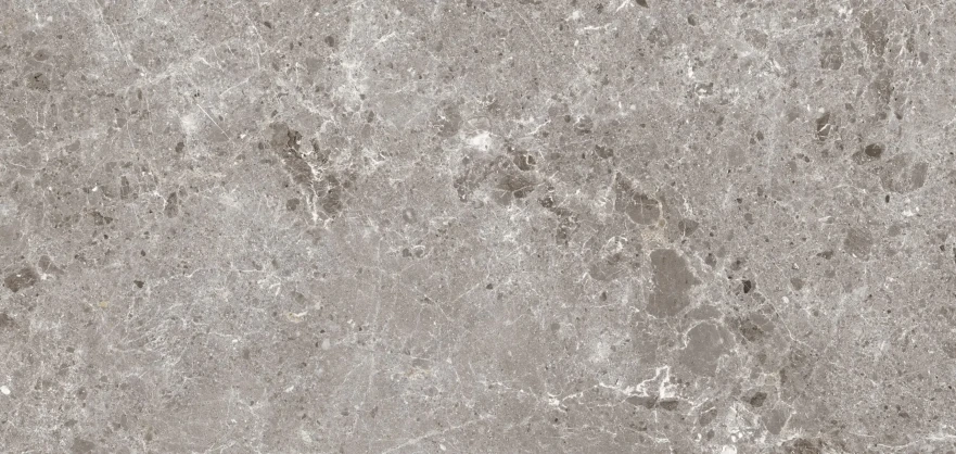 Керамогранит Artic Gris Pul.(120x260) 5.6мм 78RC37P 78RC37P