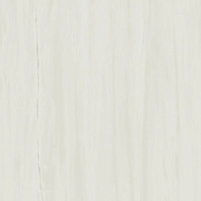 Marvel Bianco Dolomite 60x60 Lapp. AZRI