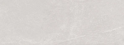 Nature Silver (32x90)