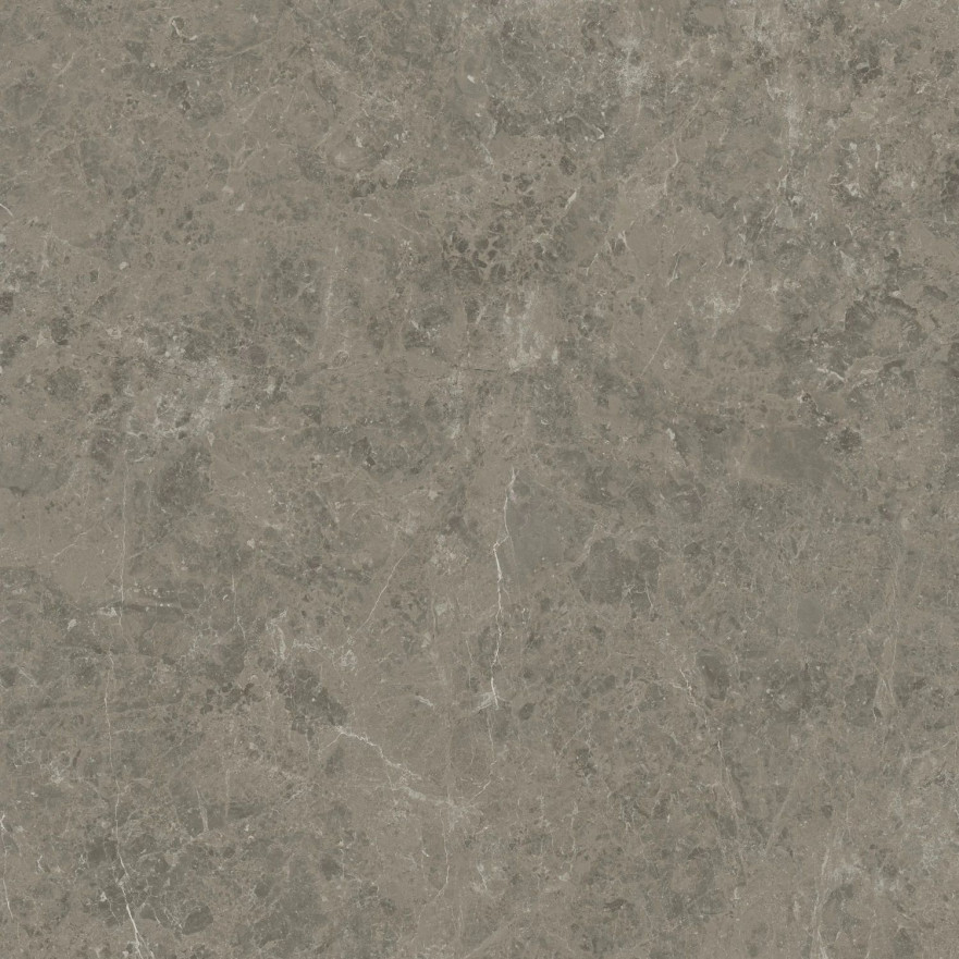 Керамогранит Marvel Meraviglia Grigio Elegante Velvet AJIL (120x120) AJIL AJIL