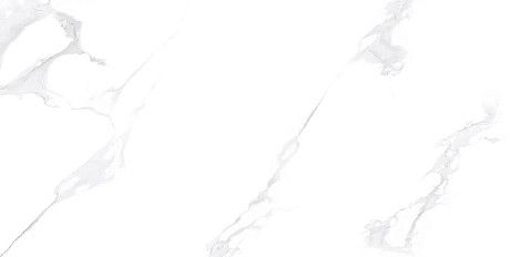 Керамогранит Calacata White Satin Matt131.117.1131 (60x120)