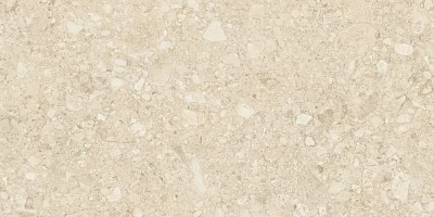 Керамогранит Ceppo Di Clay GHR 60x120