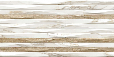 Плитка настенная Euphoria (24.9x50) TWU2550EPH14