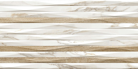 Плитка настенная Euphoria (24.9x50) TWU2550EPH14