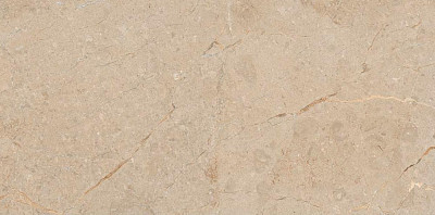 Керамогранит Camel Glossy 111.11S.1111 (60x120)