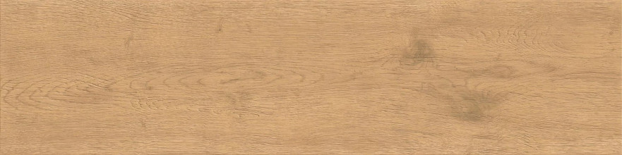 Entice Pale Oak Natural 30x120 20mm A9DD A9DD