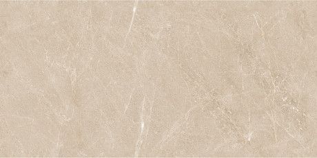 Керамогранит Firenze Beige Tm (60x120) N20437