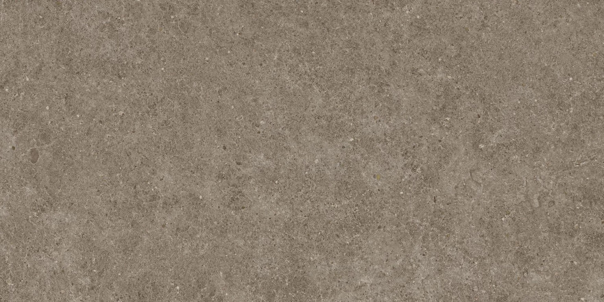 Boost Stone Taupe 60x120 A6Q6 A6Q6