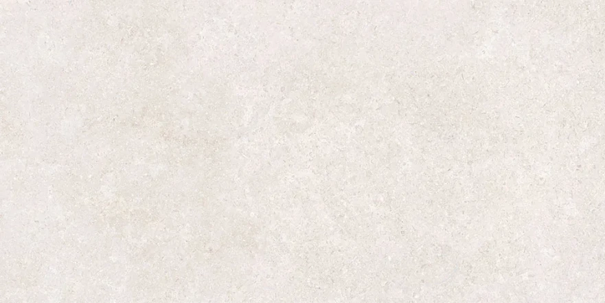 Керамогранит Sandstone Белый Матовый R10a 60x120 K948597R0001VTER